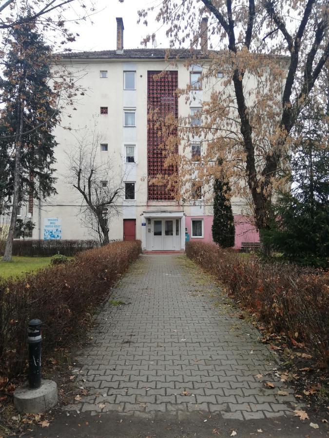 Apartament Raluca Topliţa Exterior foto